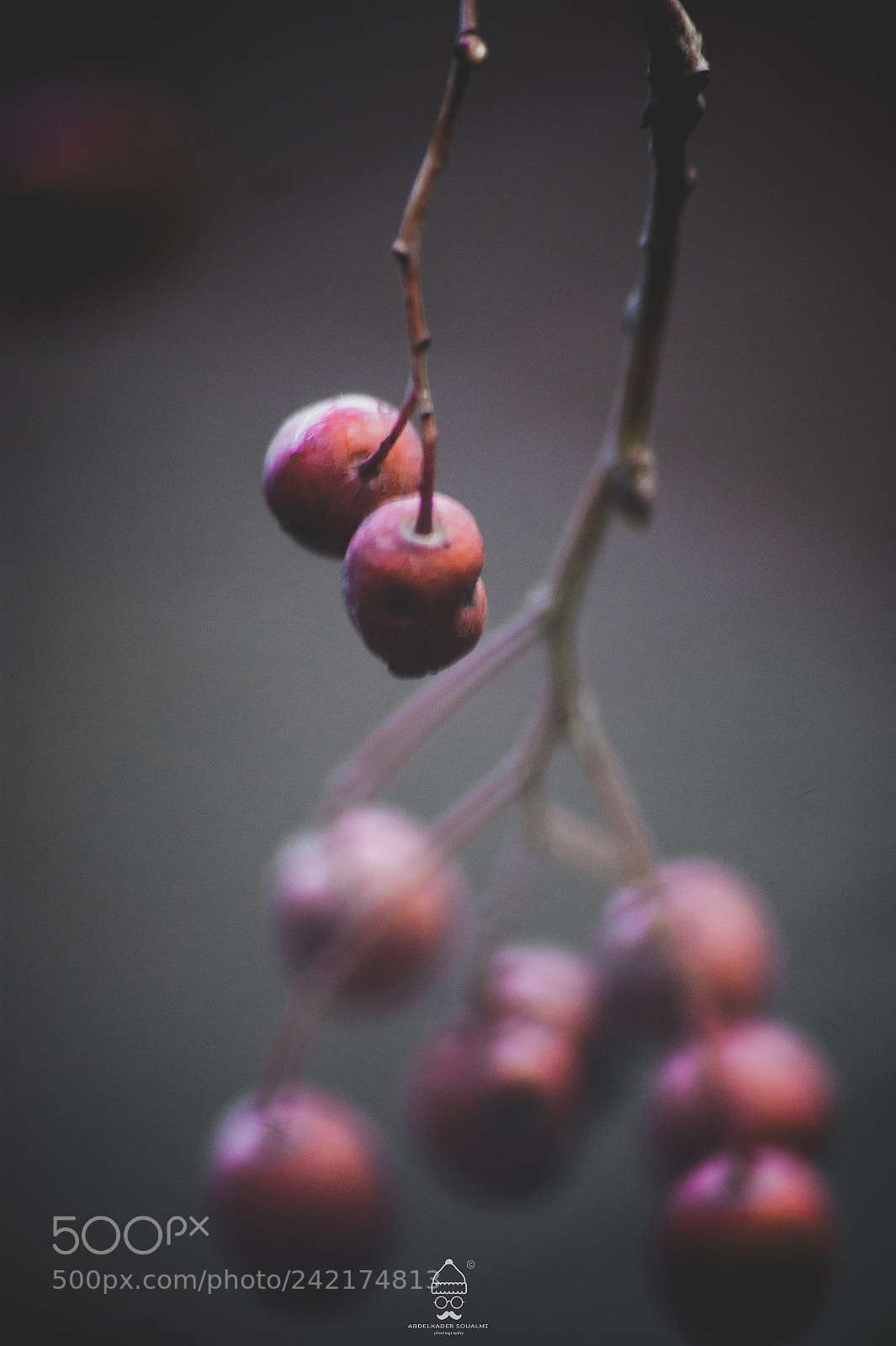 Sony Alpha DSLR-A390 sample photo. Mi photography