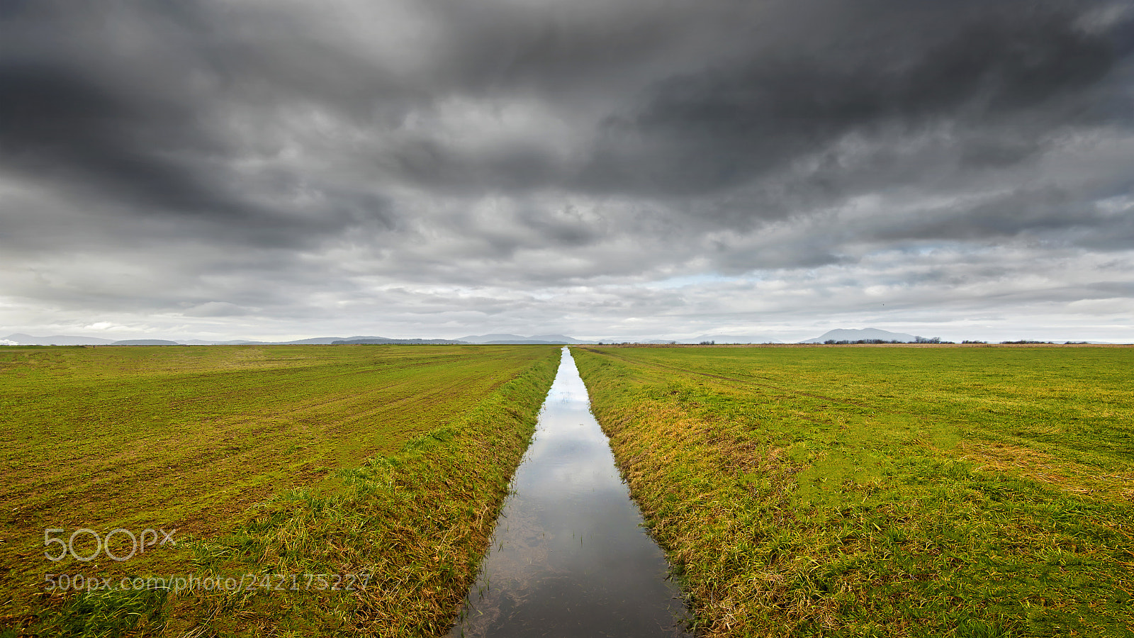 Nikon D800E sample photo. Canal photography
