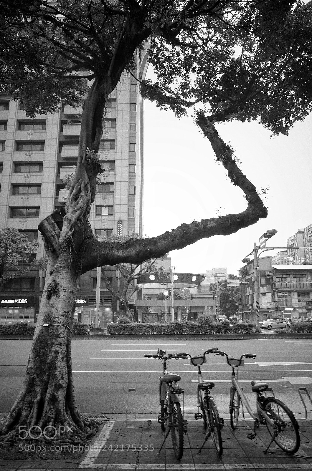Ricoh GR II sample photo. Taipei,taiwan photography