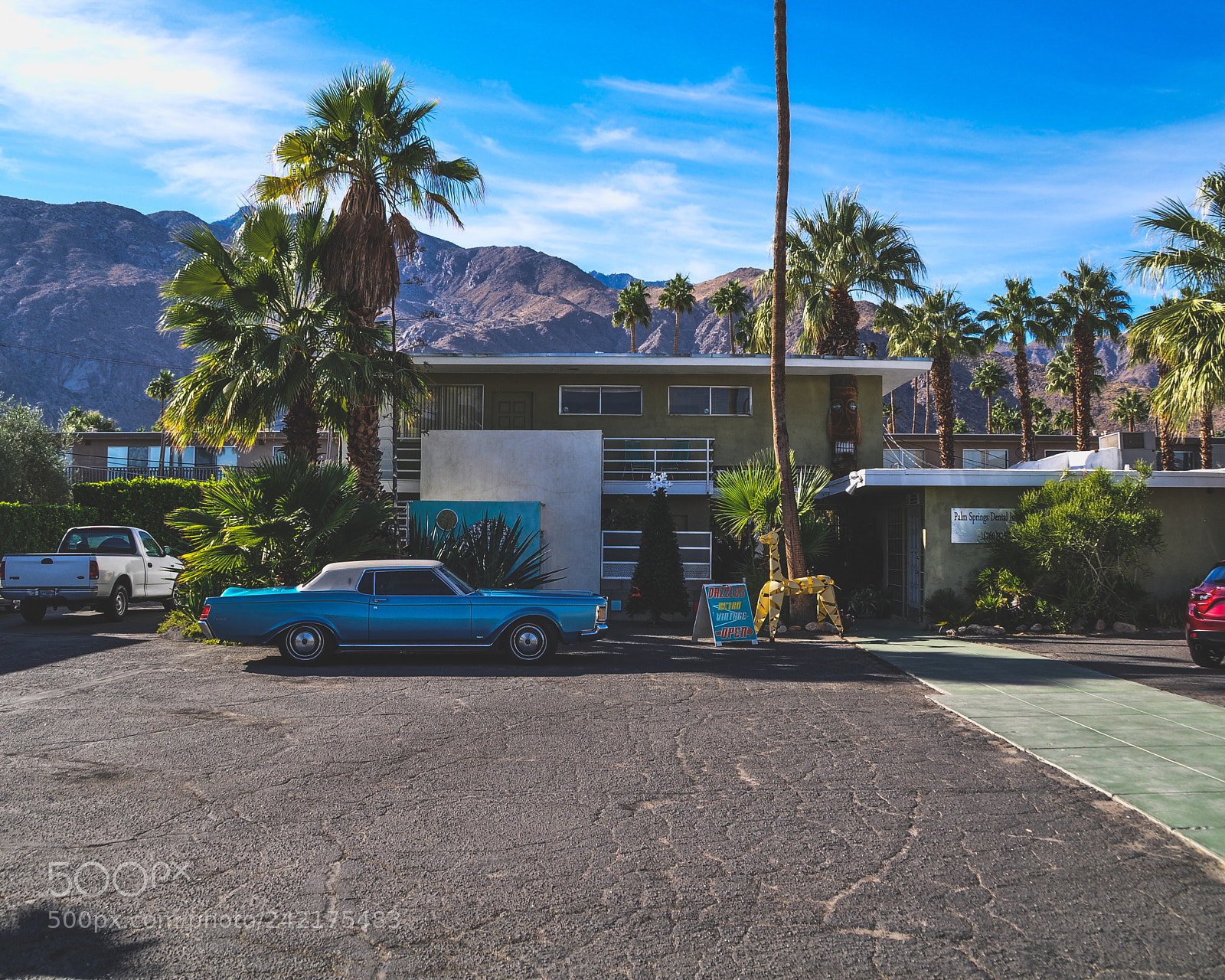 Nikon D5000 sample photo. Everything under the sun photography