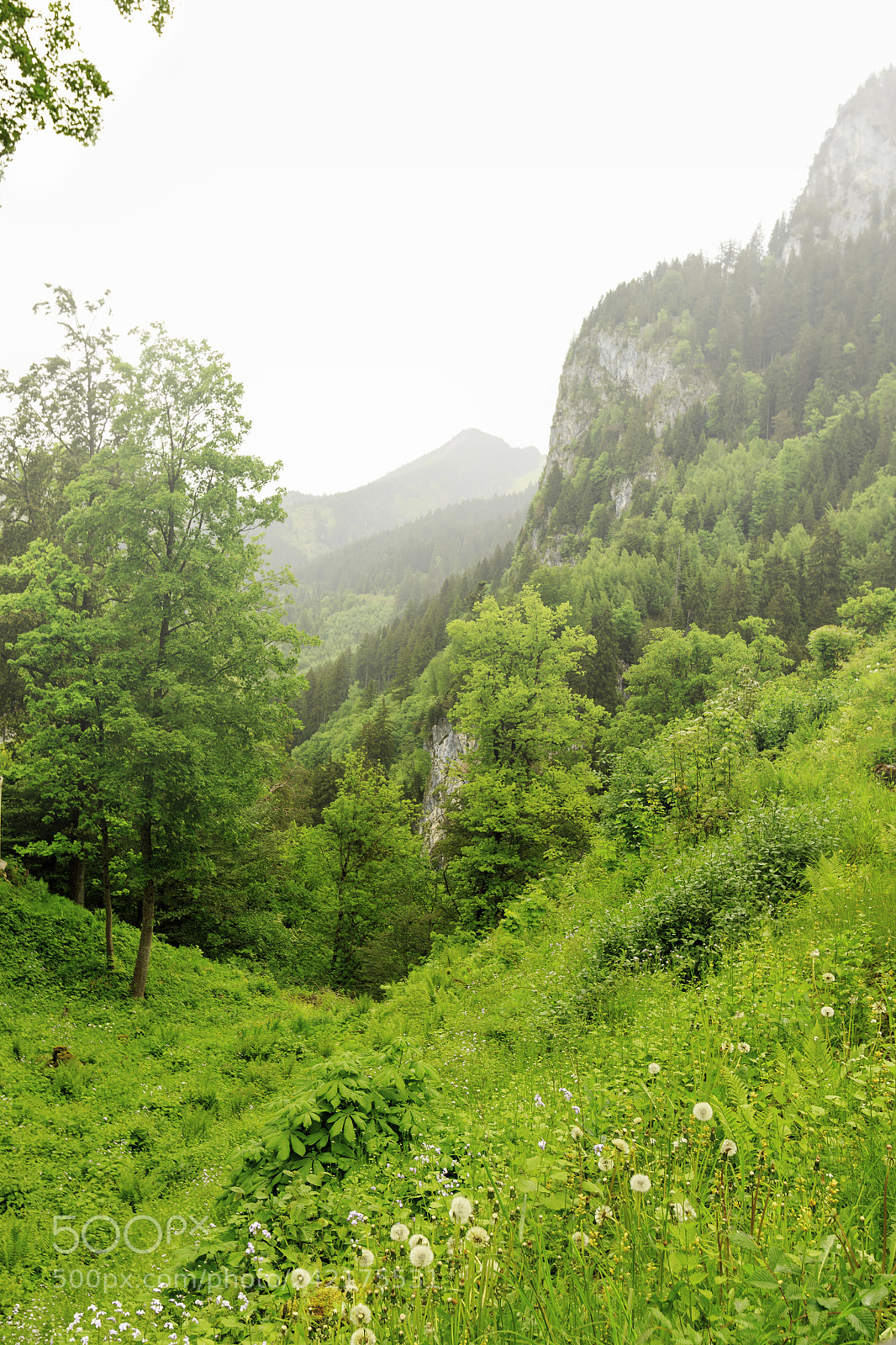 Canon EOS 7D Mark II sample photo. Bavarian alpine landscape. photography