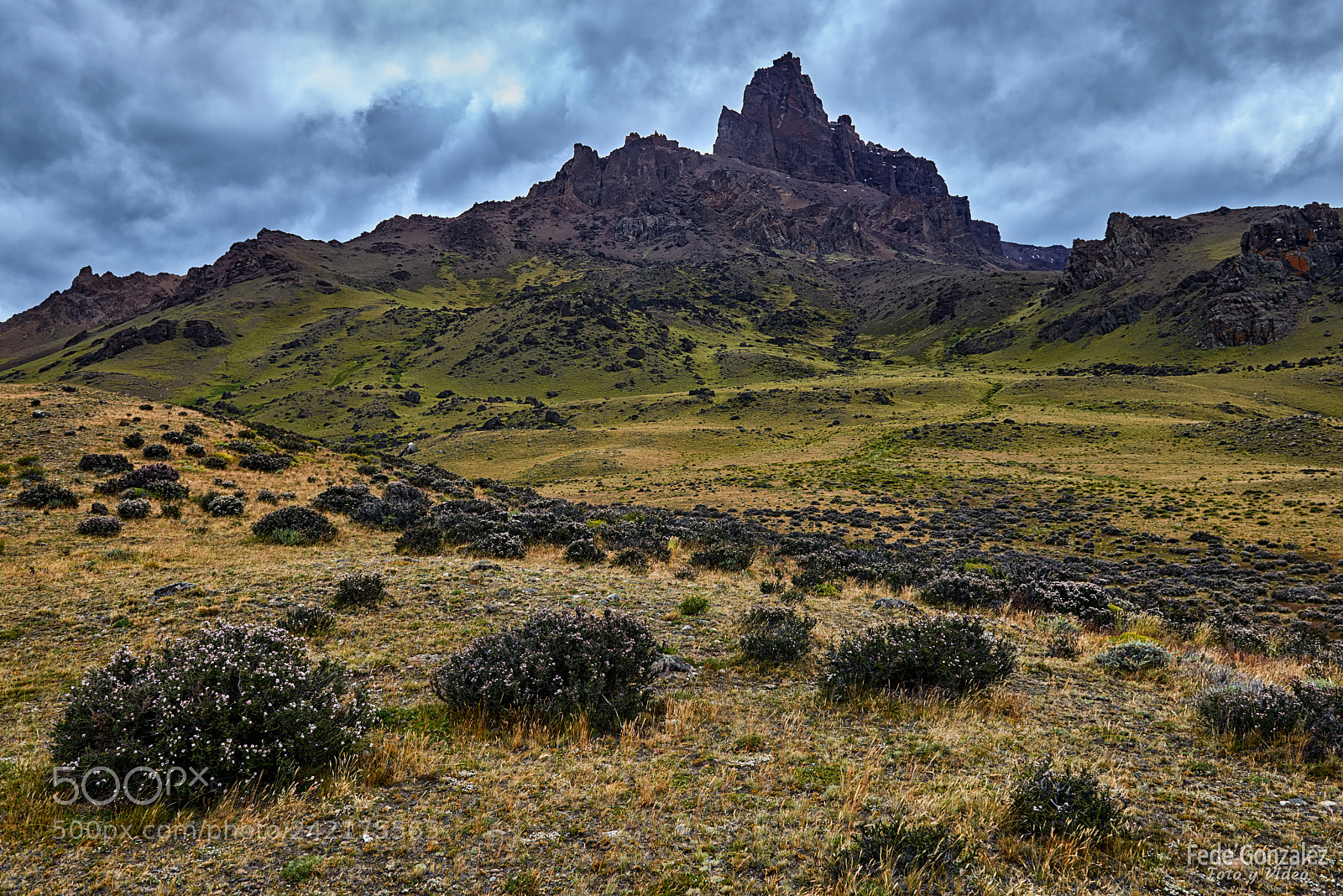 Nikon D800 sample photo. Cerro baguales photography