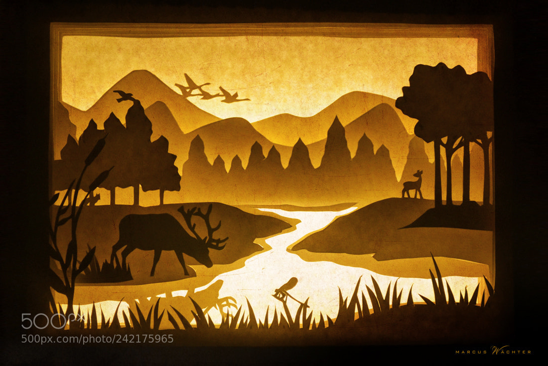 Nikon D3100 sample photo. Papercut - forest lake photography