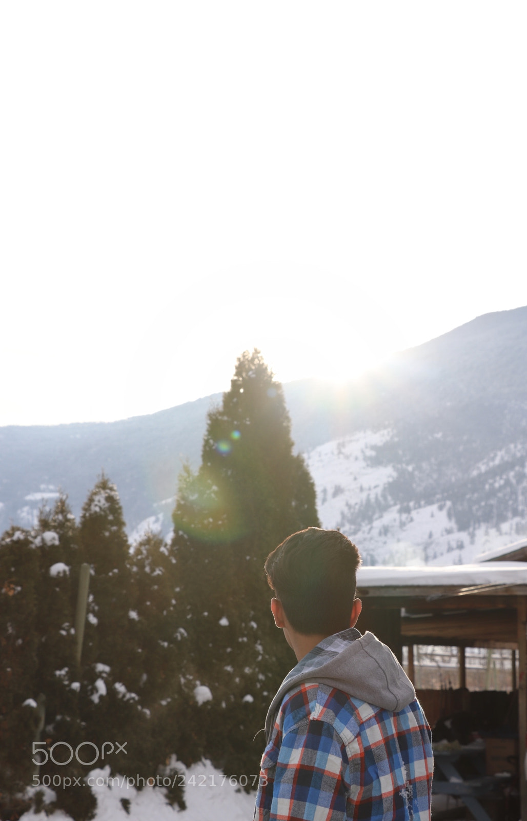 Canon EOS 800D (EOS Rebel T7i / EOS Kiss X9i) sample photo. Winter sun glare photography
