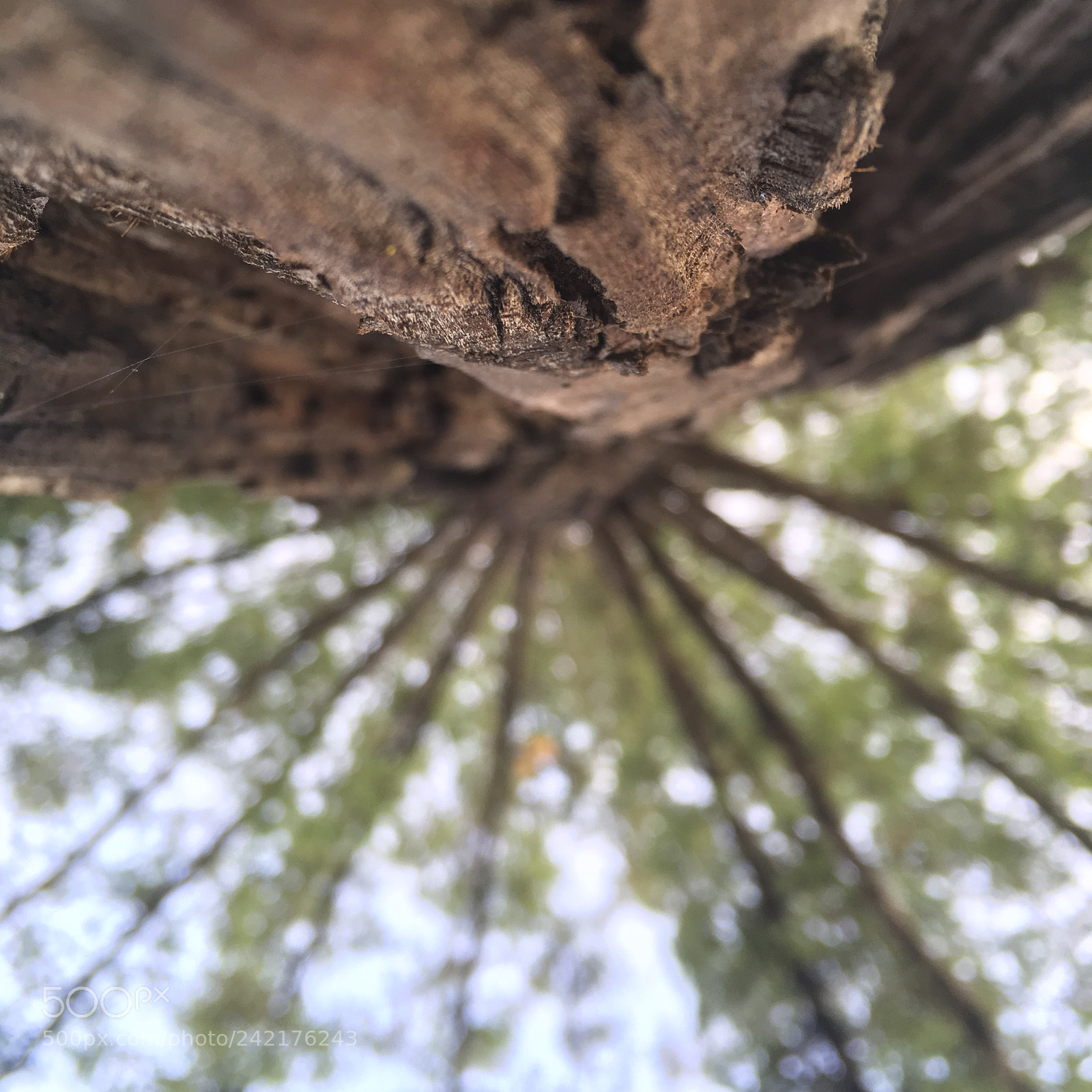 Apple iPad Pro sample photo. Untitled photography