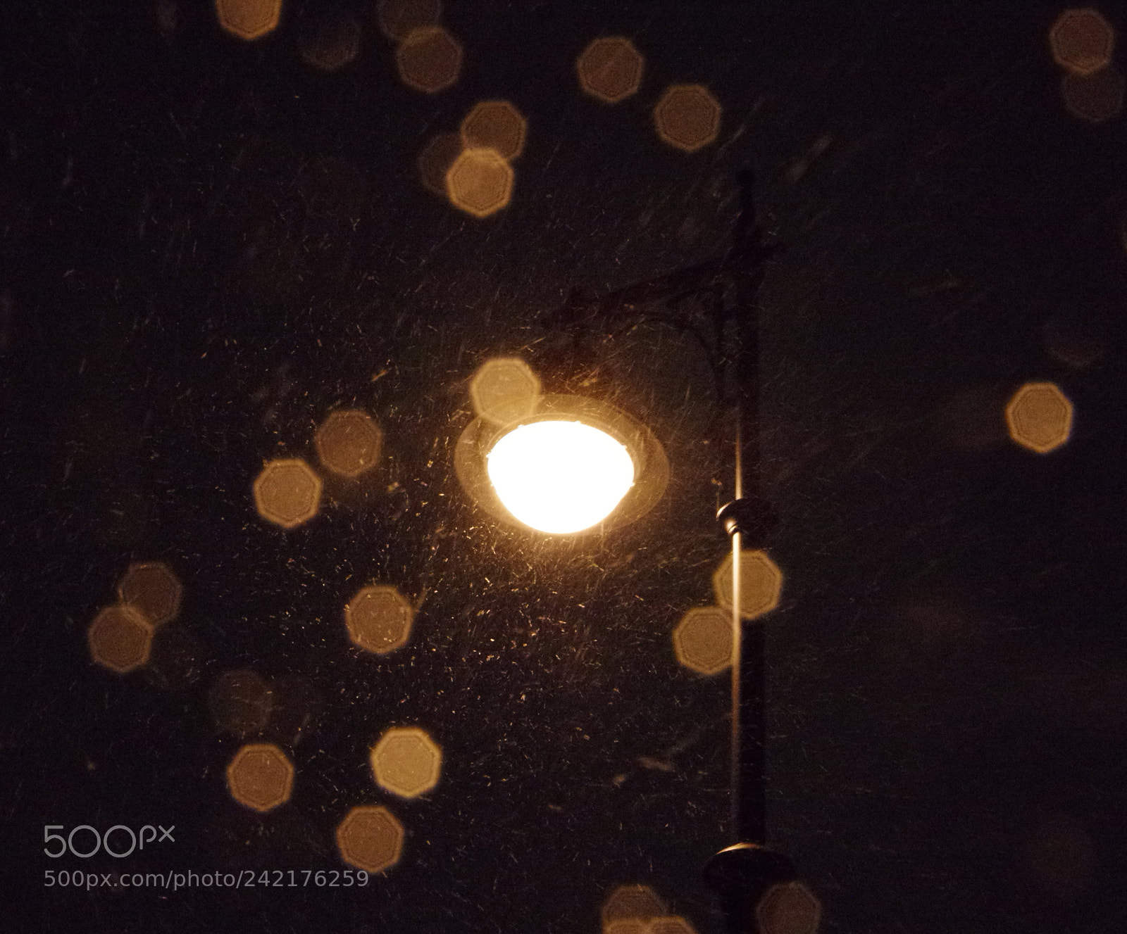 Pentax K-3 sample photo. Light in snowstorm photography