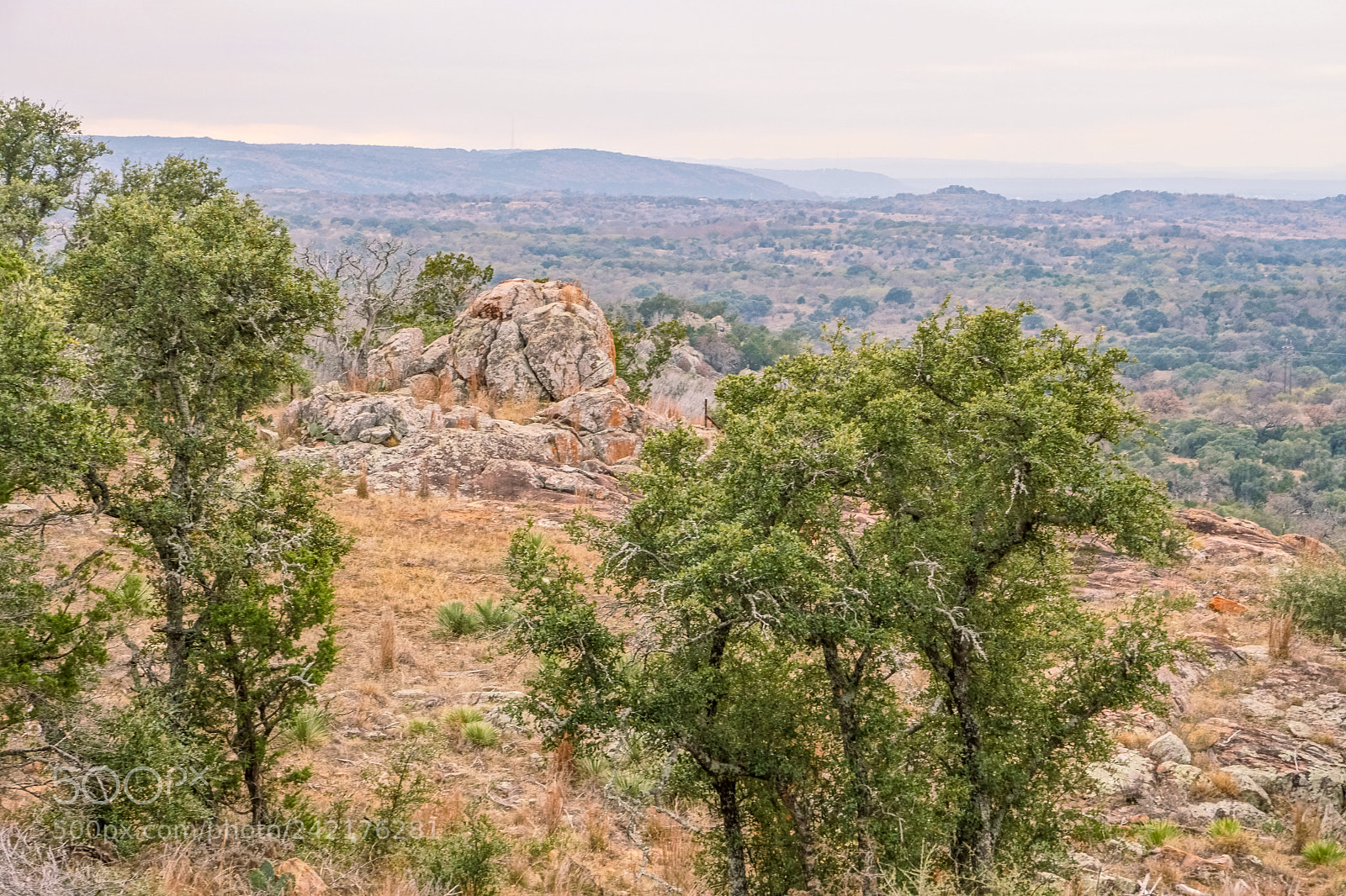 Sony a6500 sample photo. Hill country photography