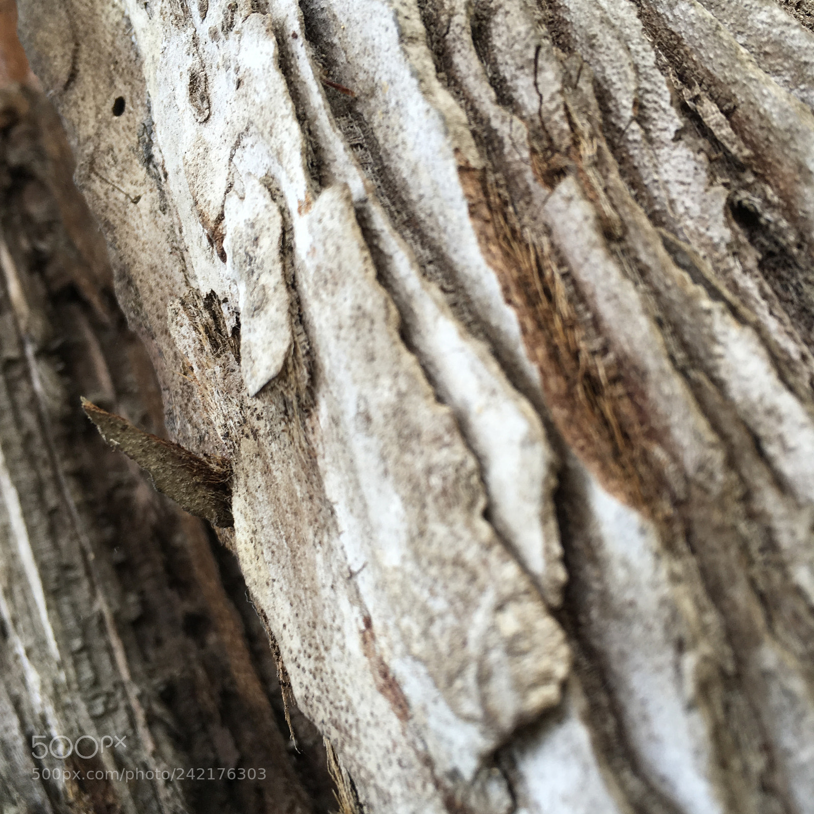Apple iPad Pro sample photo. Untitled photography