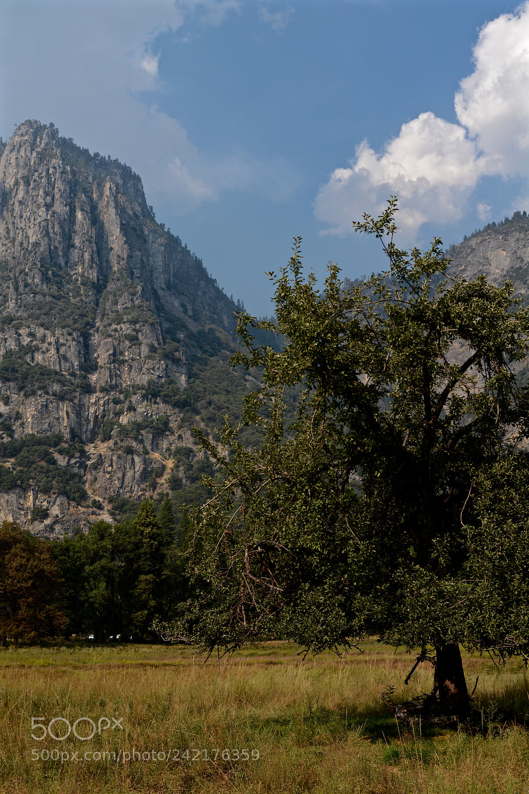 Nikon D7100 sample photo. Yosemite valley photography
