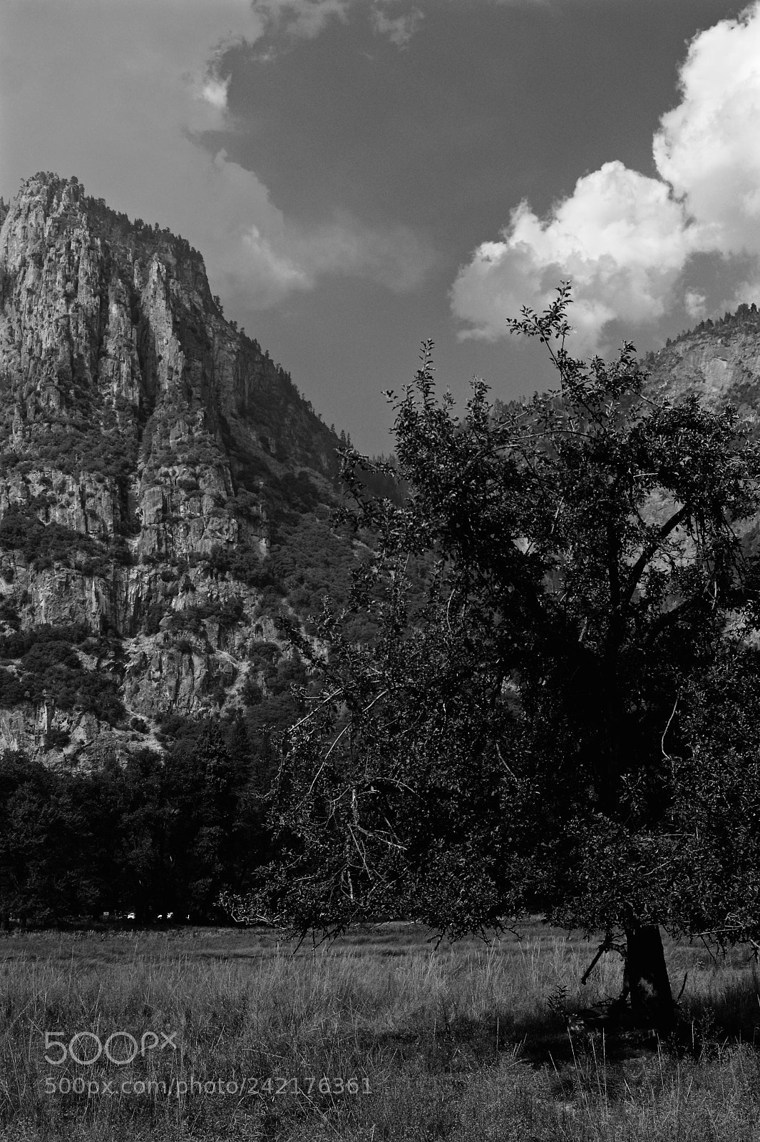 Nikon D7100 sample photo. Yosemite valley - b photography