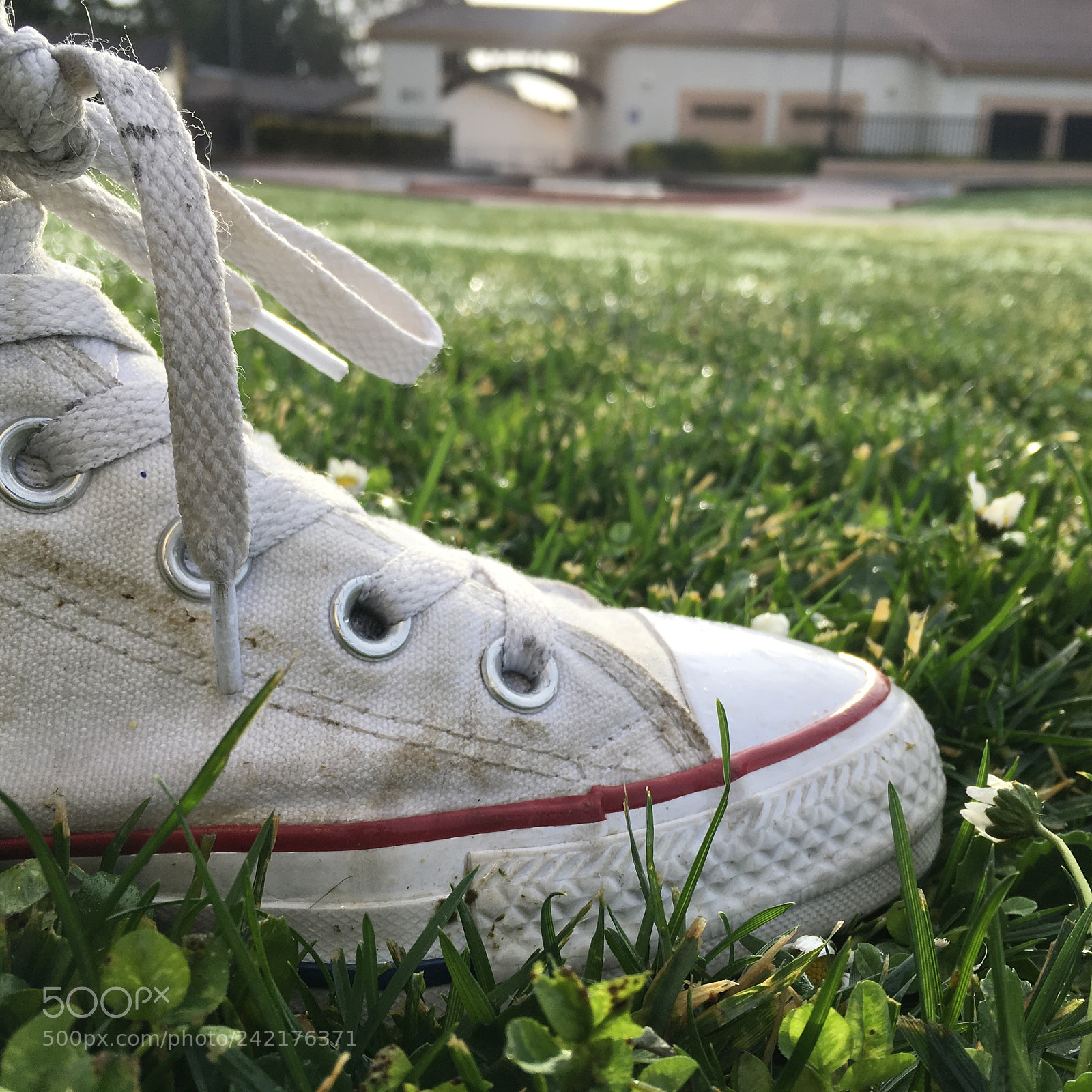 Apple iPad Pro sample photo. Untitled photography