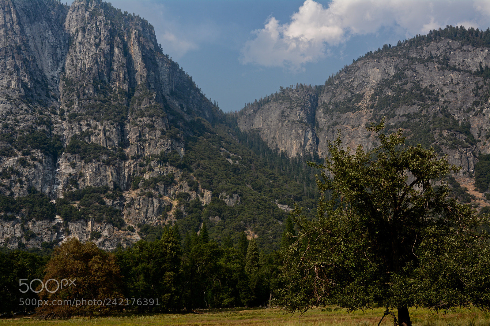 Nikon D7100 sample photo. Yosemite valley photography