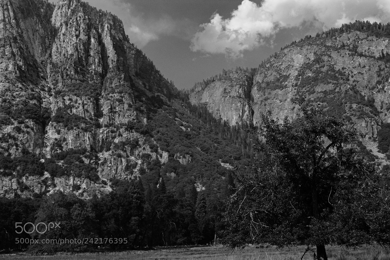 Nikon D7100 sample photo. Yosemite valley - b photography