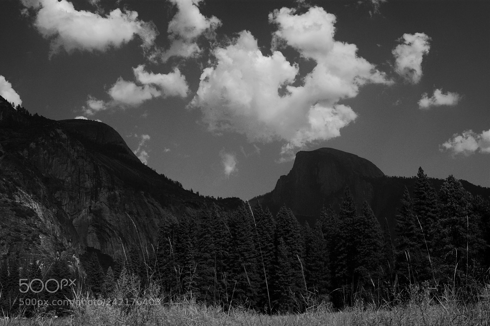 Nikon D7100 sample photo. Yosemite - half dome photography