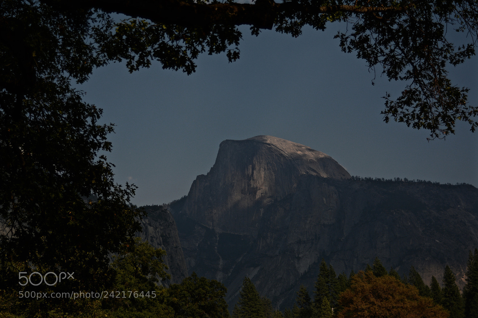 Nikon D7100 sample photo. Yosemite - half dome photography