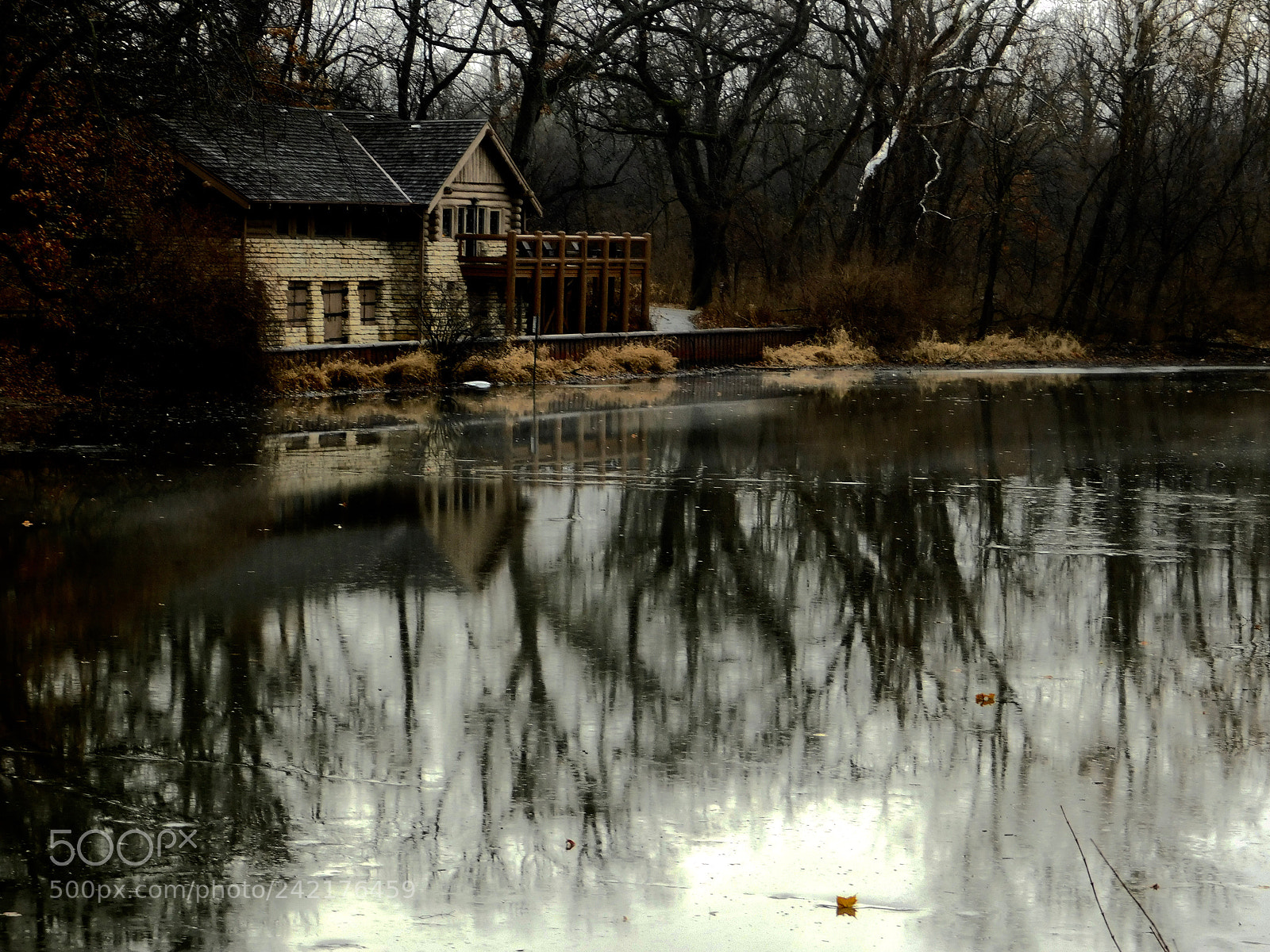 Nikon Coolpix L840 sample photo. Cabin on salt creek photography