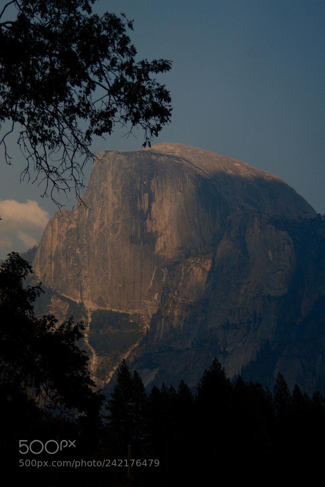 Nikon D7100 sample photo. Yosemite - half dome photography