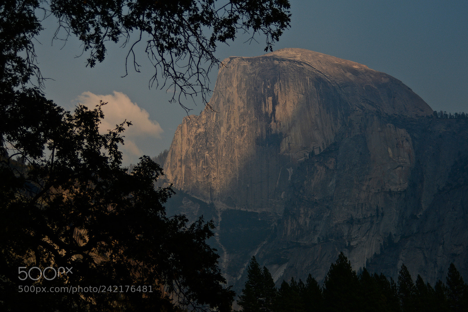 Nikon D7100 sample photo. Yosemite - half dome photography