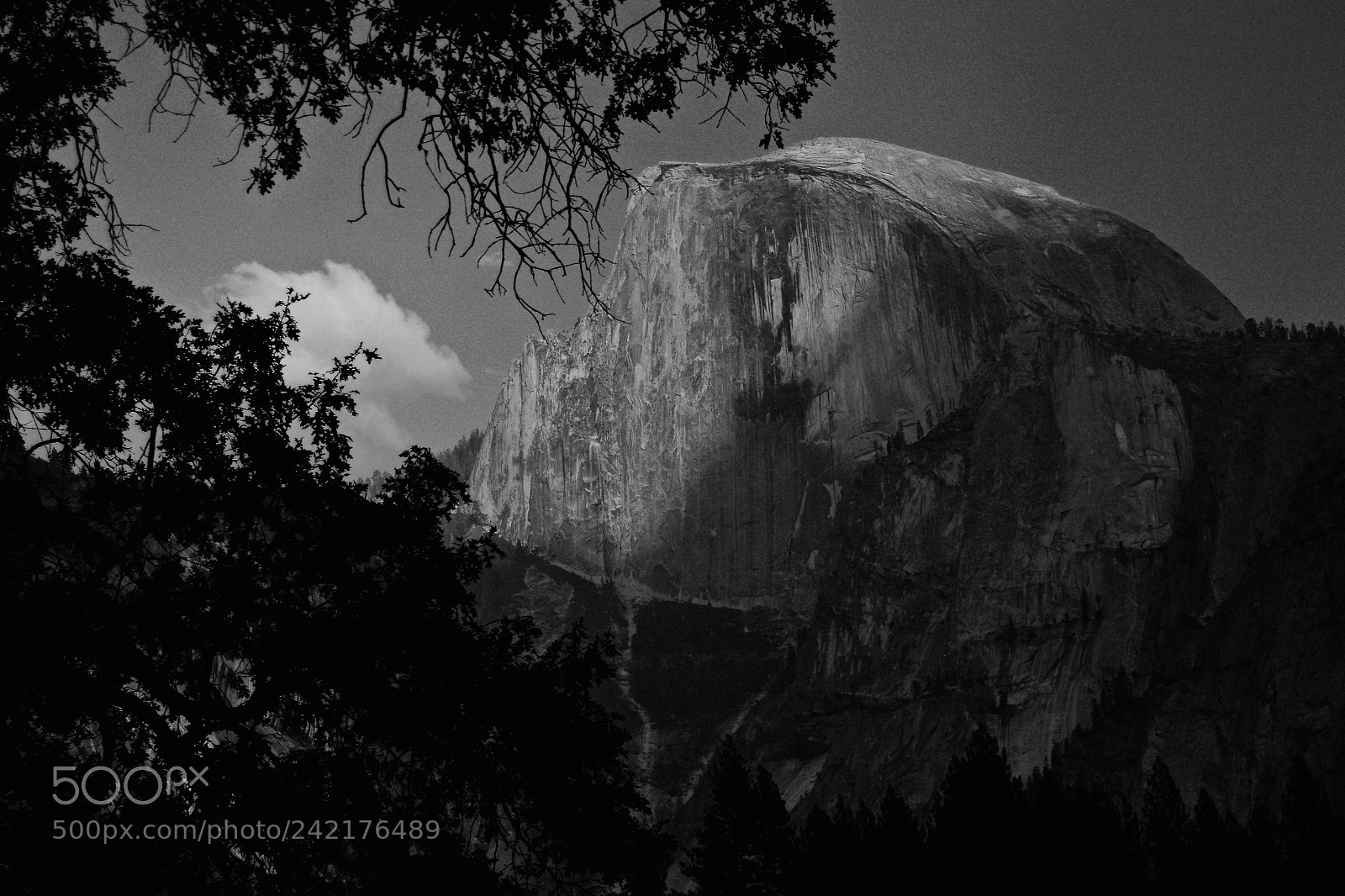 Nikon D7100 sample photo. Yosemite - half dome photography