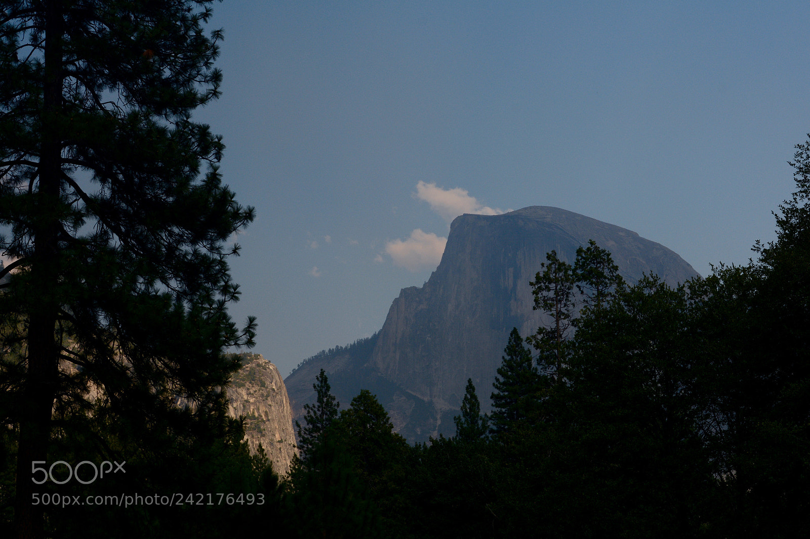 Nikon D7100 sample photo. Yosemite - half dome photography