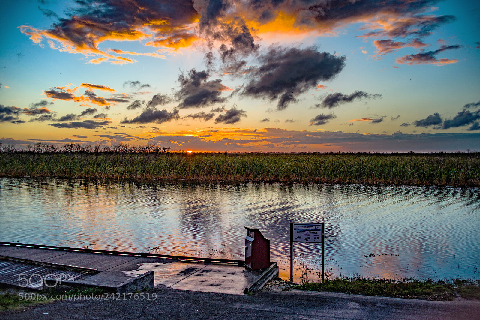Nikon D800E sample photo. The glades photography