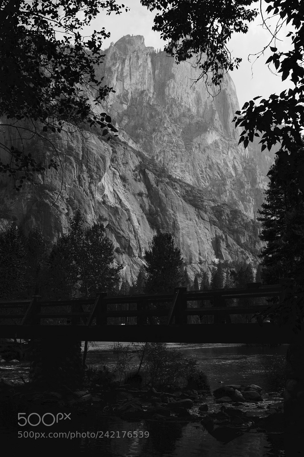 Nikon D7100 sample photo. Yosemite valley - b photography