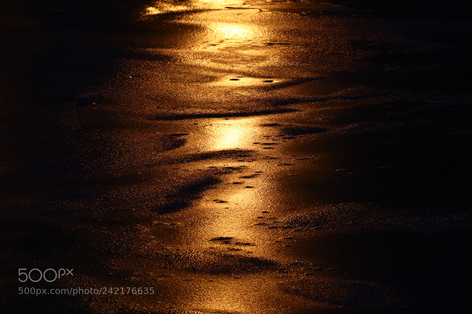 Tamron SP 150-600mm F5-6.3 Di VC USD sample photo. 光与影light and shadow photography
