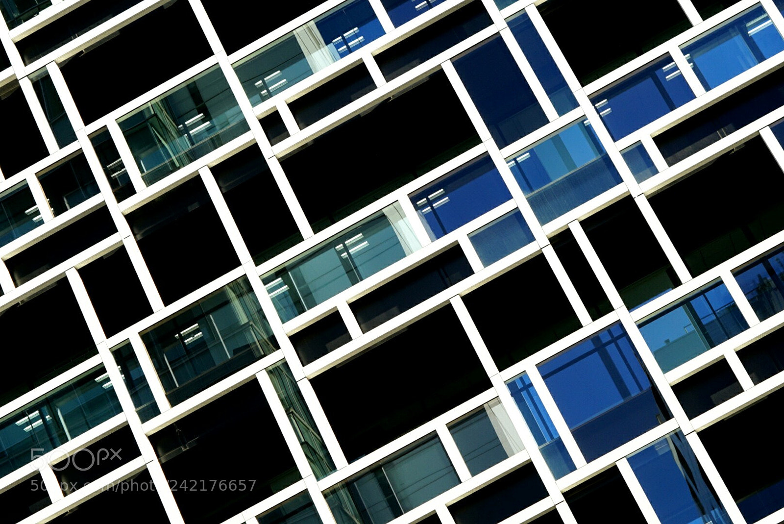 Sony a7 II sample photo. Net photography