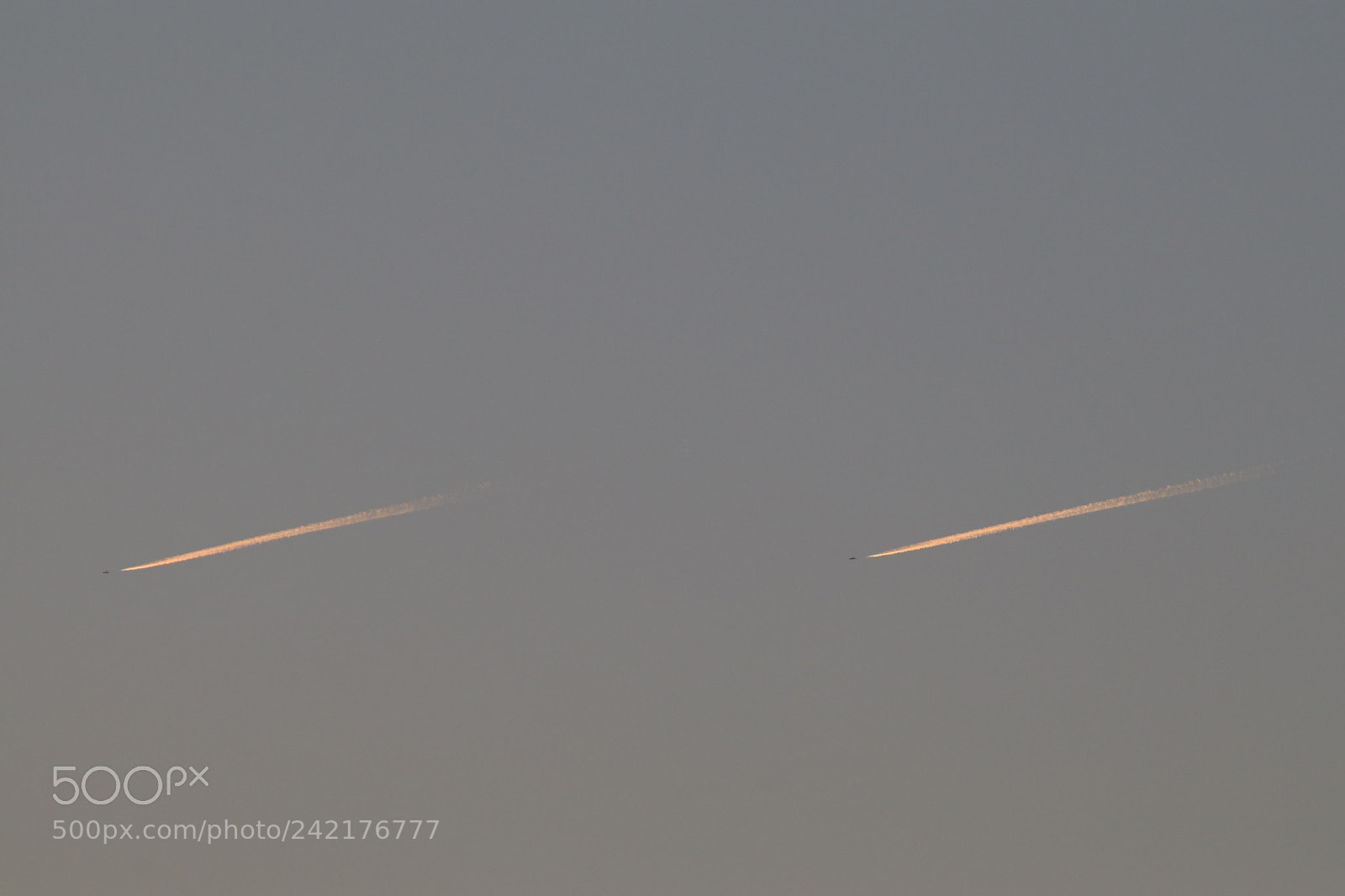 Tamron SP 150-600mm F5-6.3 Di VC USD sample photo. 天空追逐sky chase photography