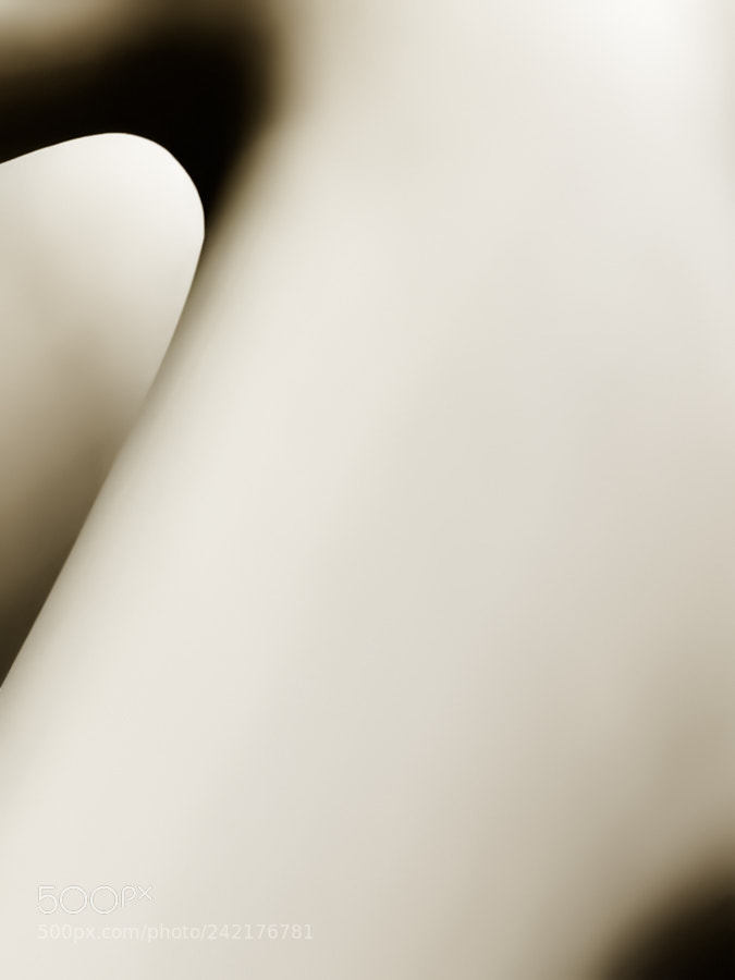 Pentax K10D sample photo. A little off white photography