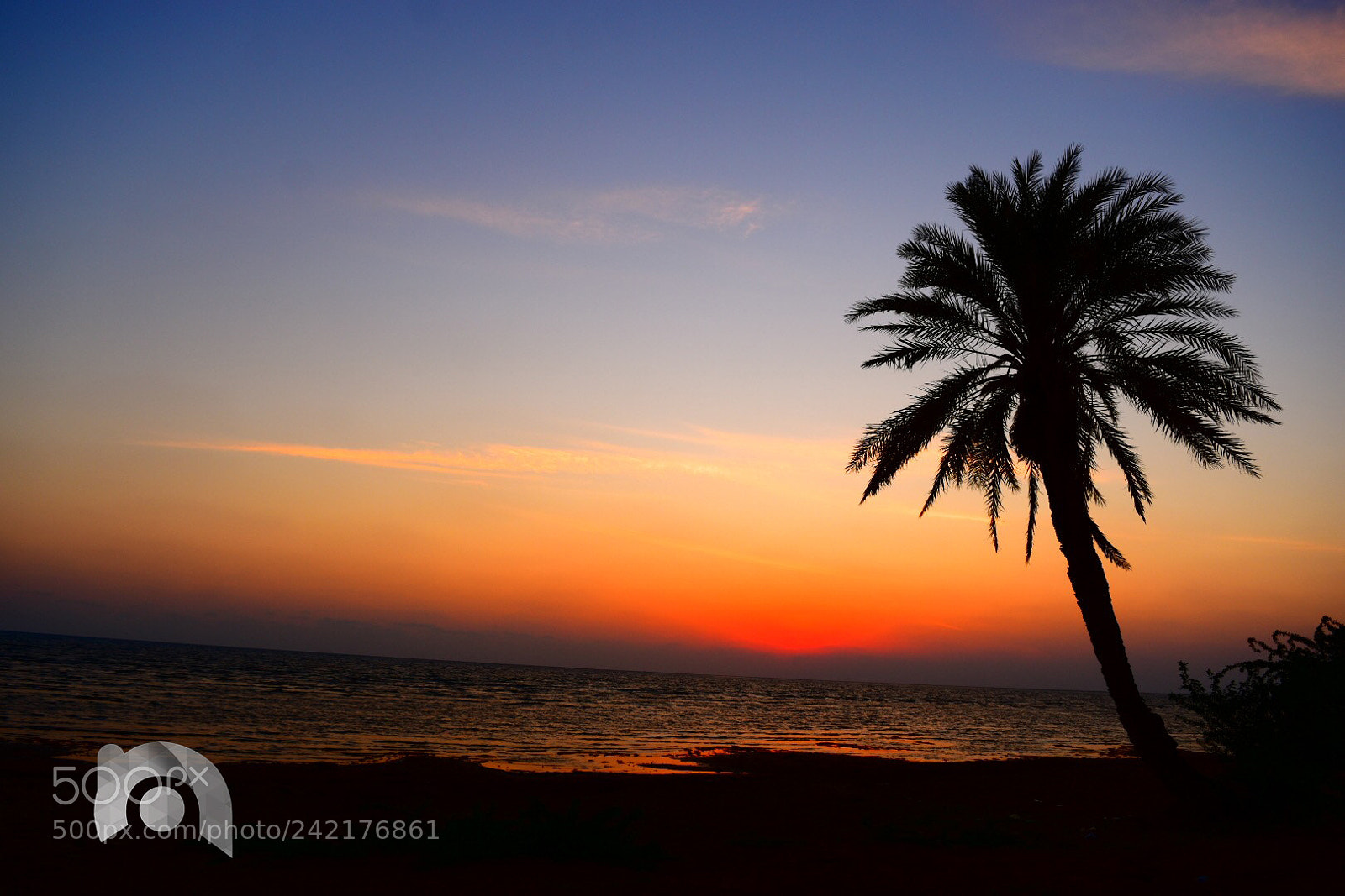 Nikon D5500 sample photo. Sunset photography