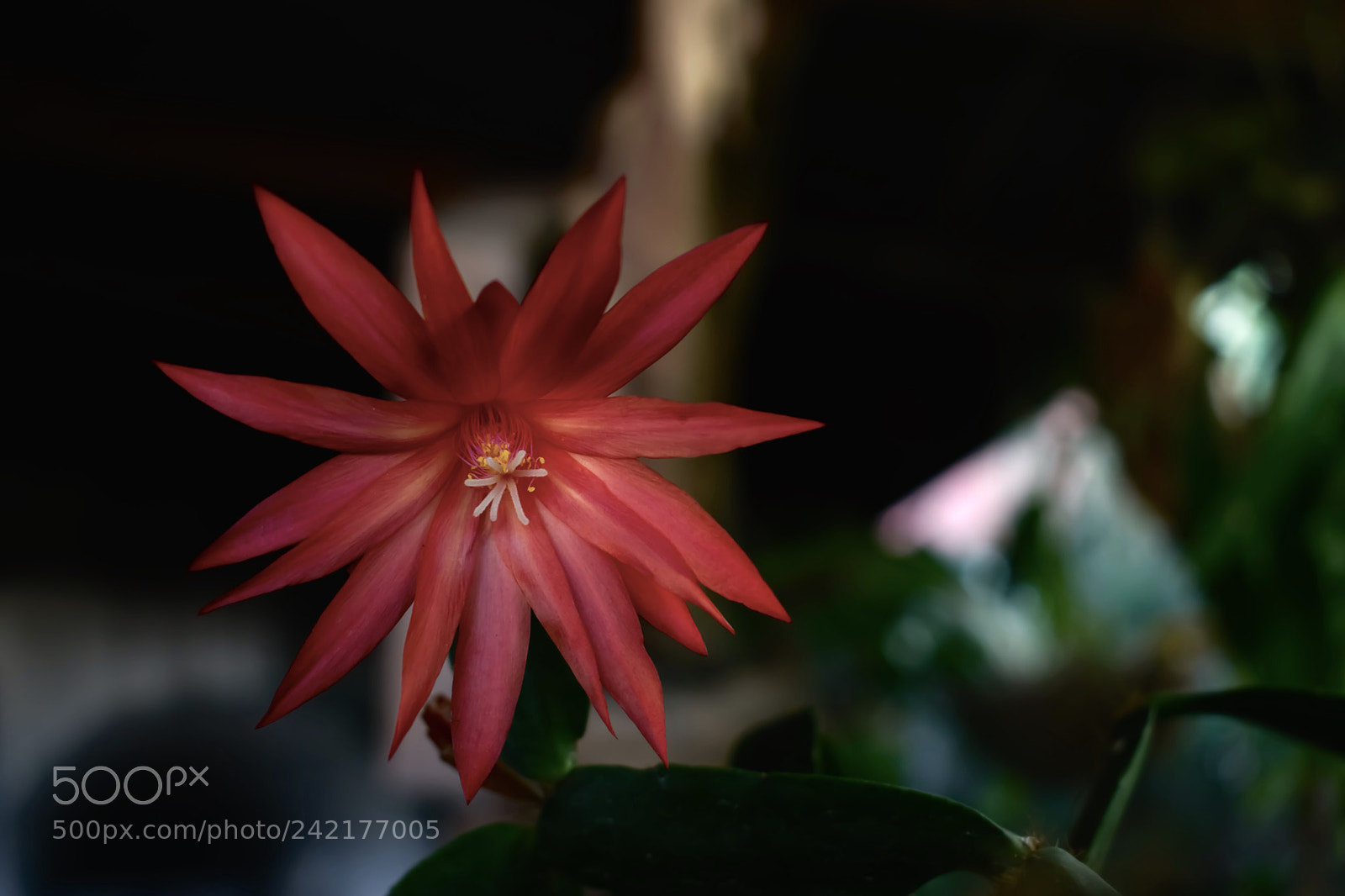Nikon D3400 sample photo. Untitled photography