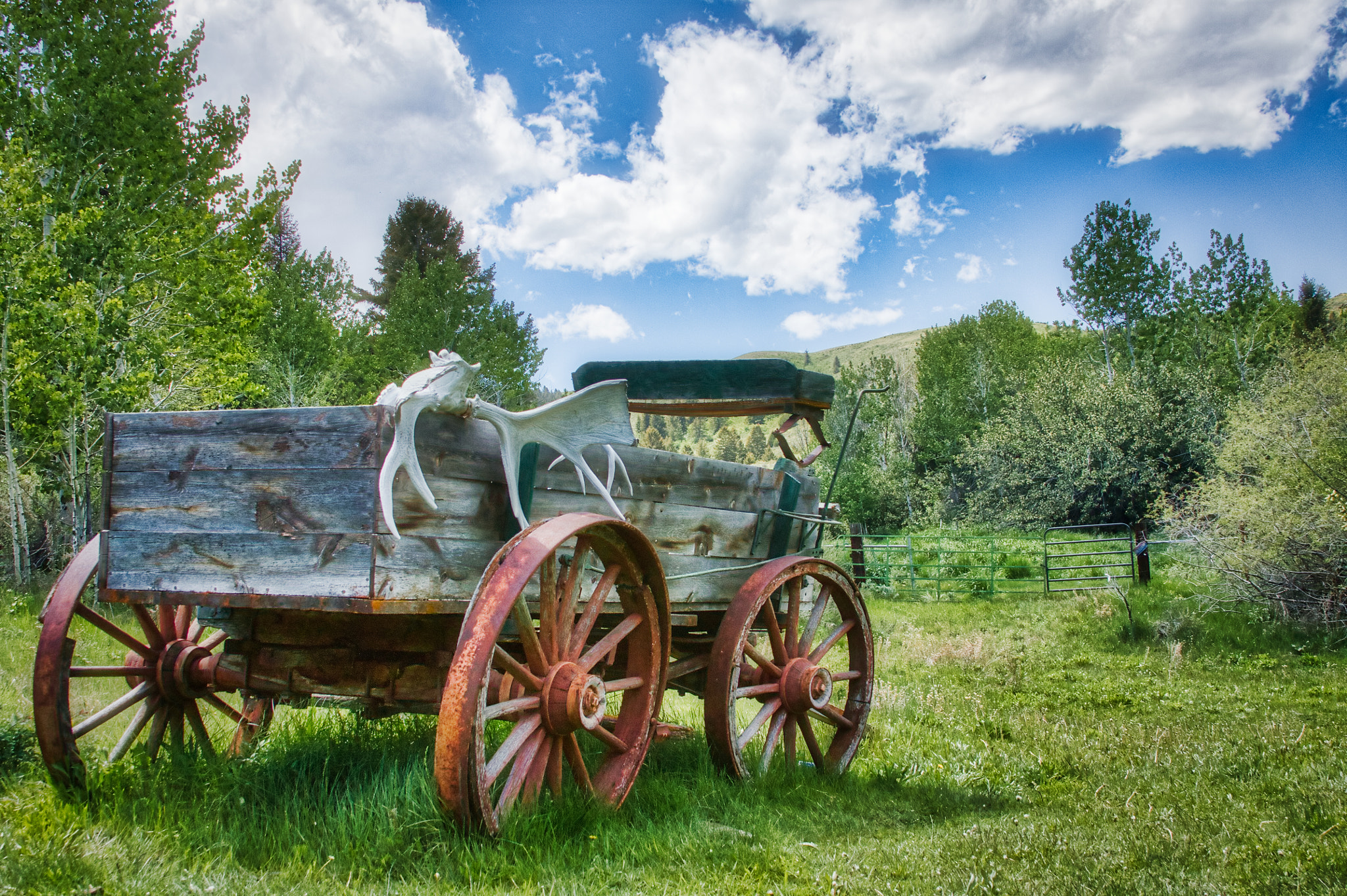 Canon EF 28-135mm F3.5-5.6 IS USM sample photo. Worn wagon wheel photography