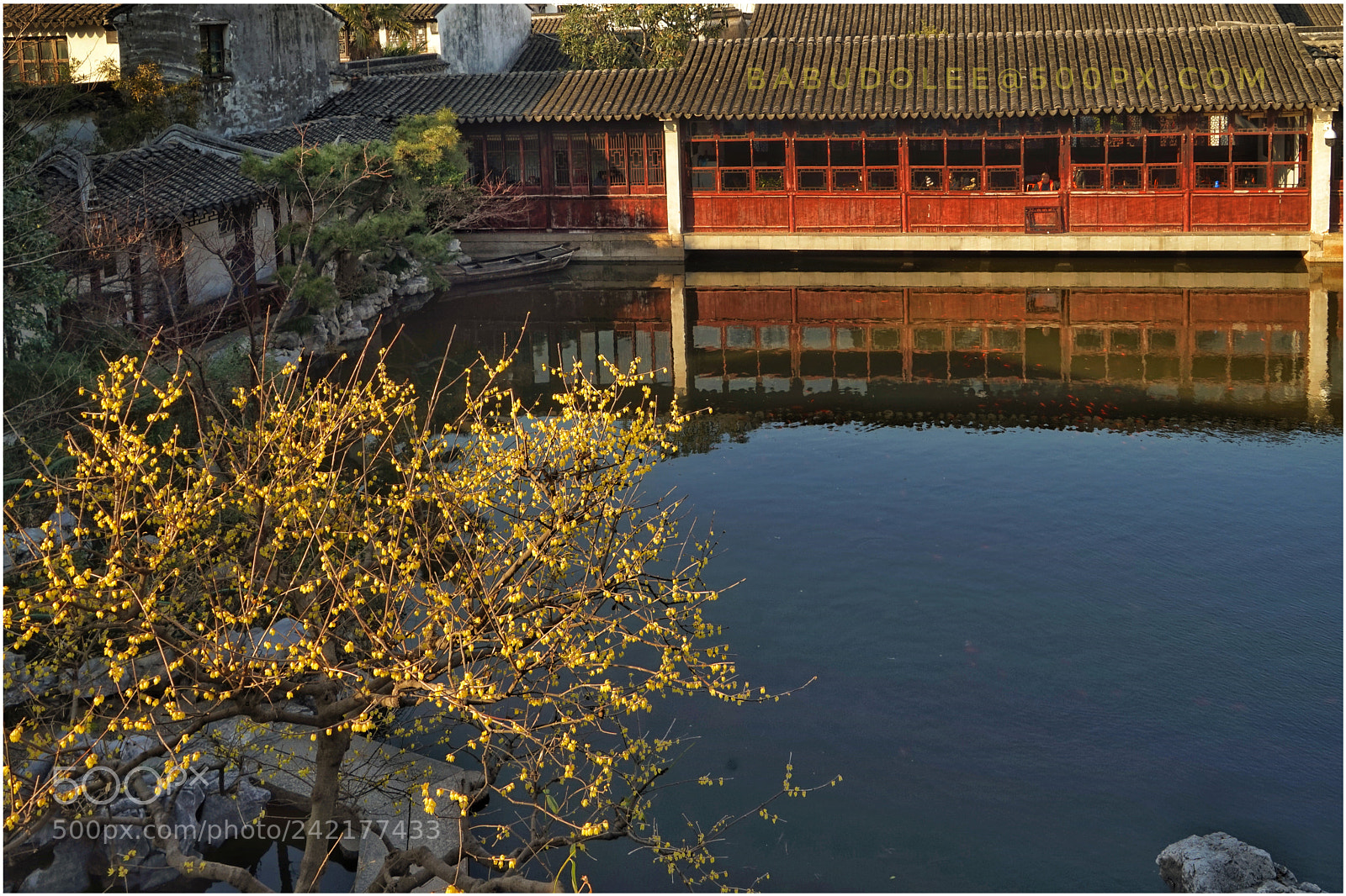 Sony a7 sample photo. Chinese  garden photography