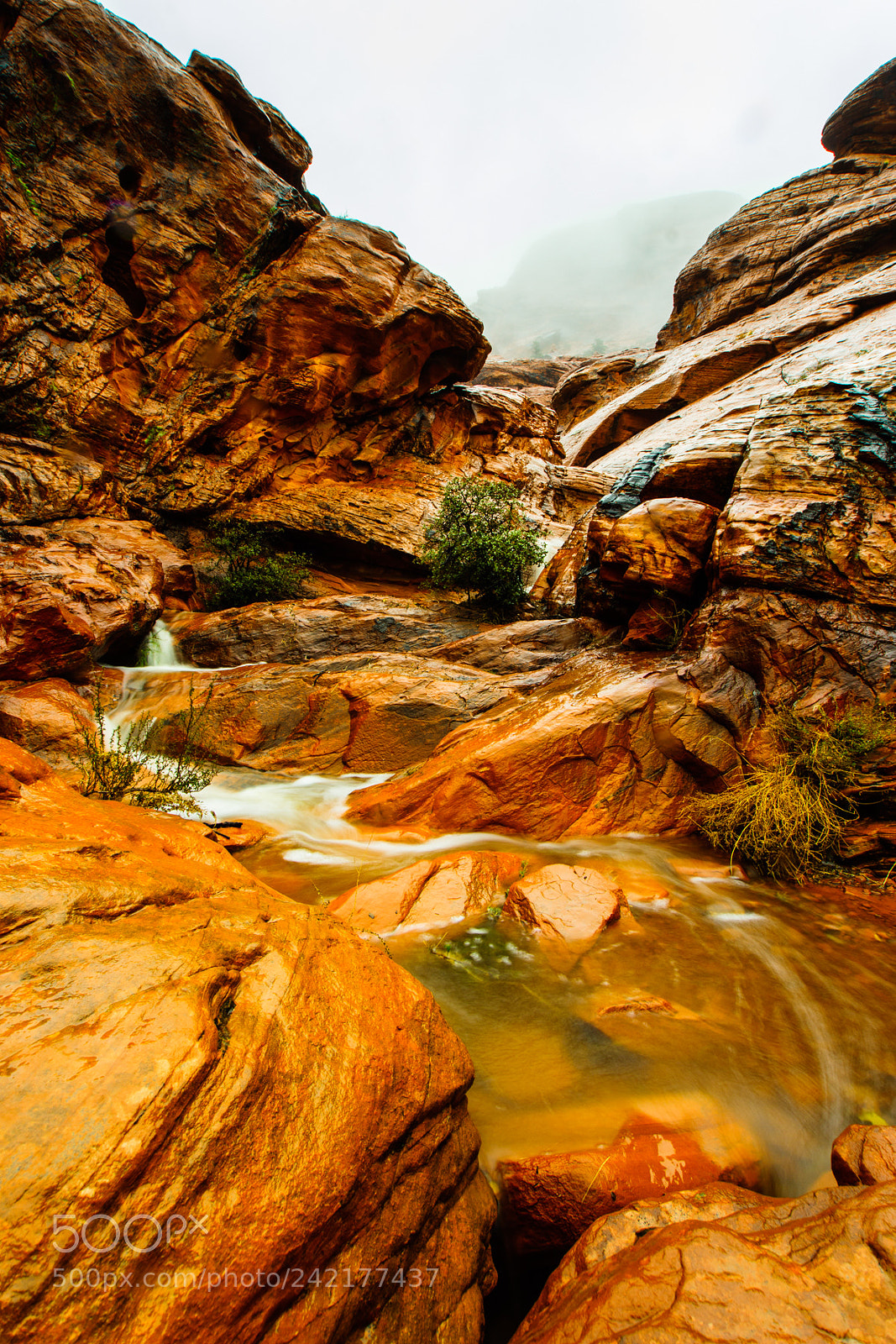 Sony SLT-A77 sample photo. Stream from the clouds photography