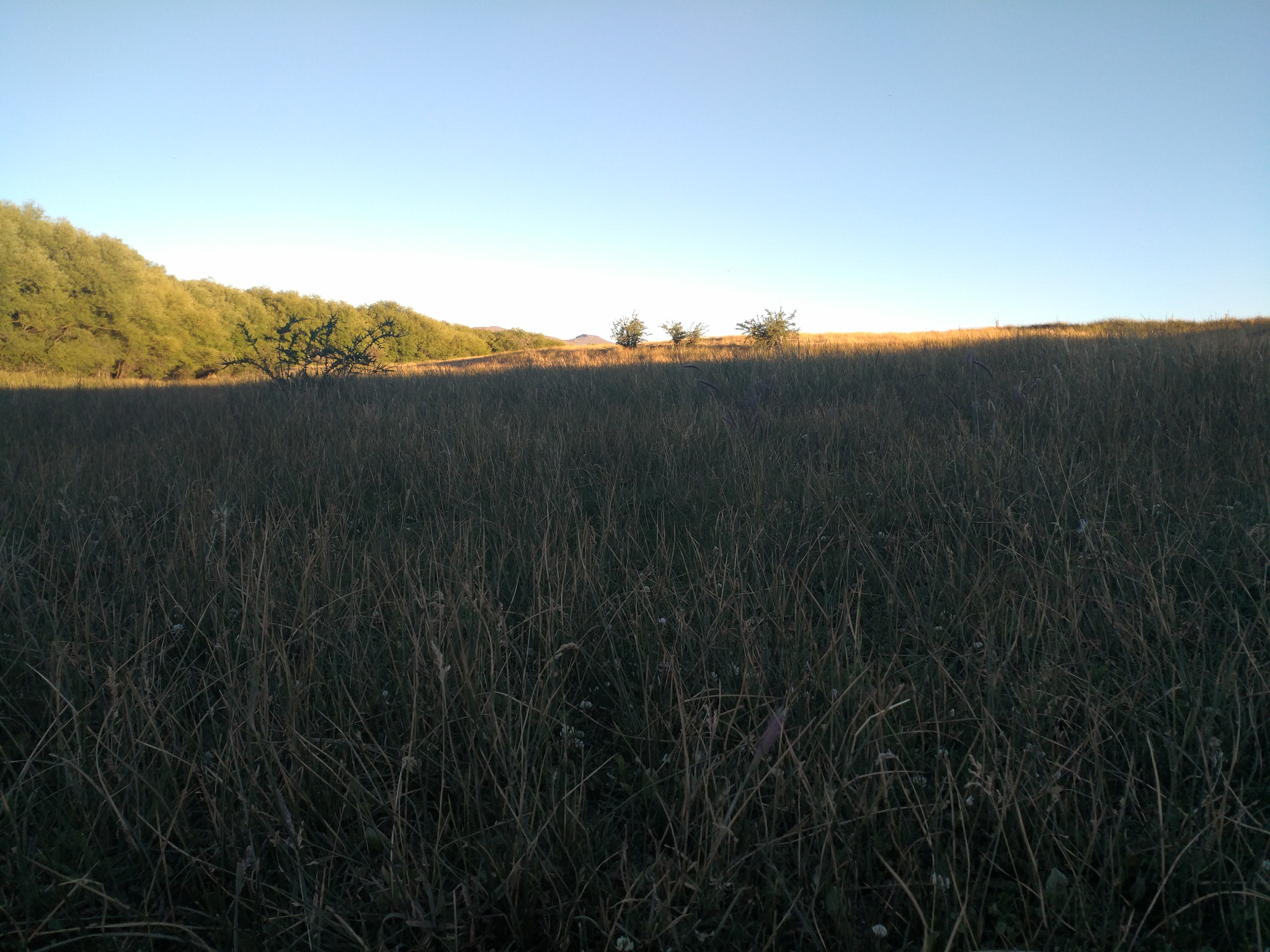 Xiaomi MI 5s Plus sample photo. The unwavering tranquility of the countryside photography