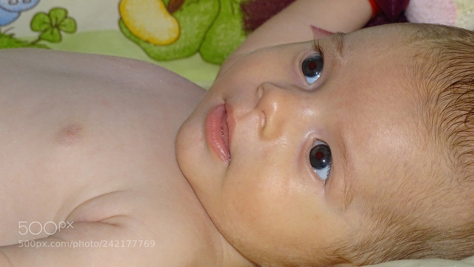 Sony Cyber-shot DSC-HX400V sample photo. Bebe3 photography
