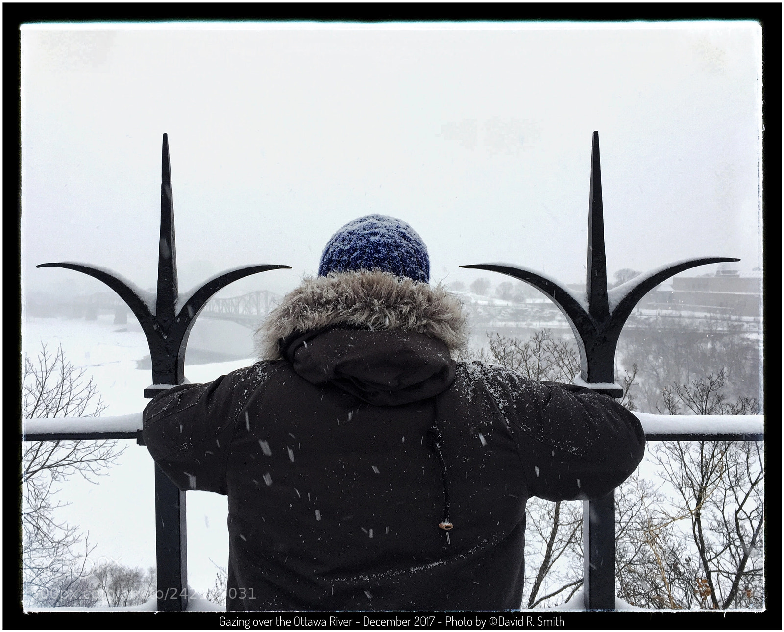Apple iPhone 6 Plus sample photo. Gazing over the ottawa photography