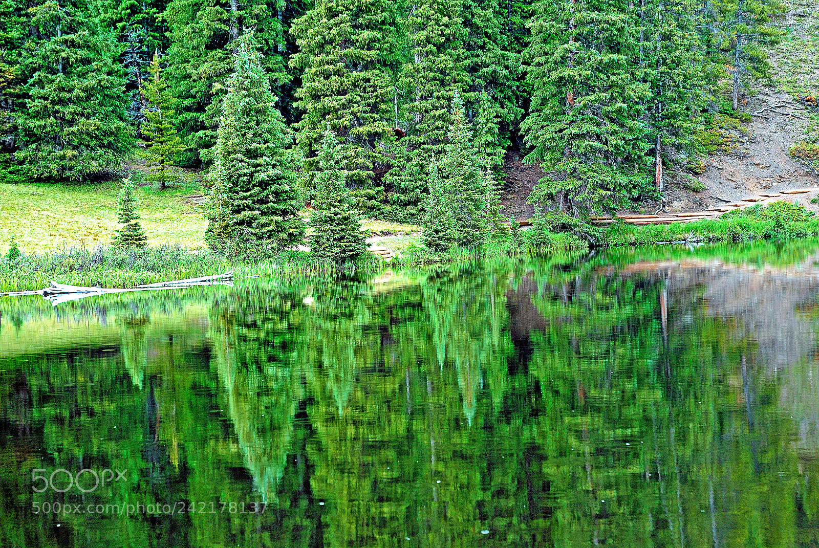 Nikon D200 sample photo. Lake irene 12-1 photography