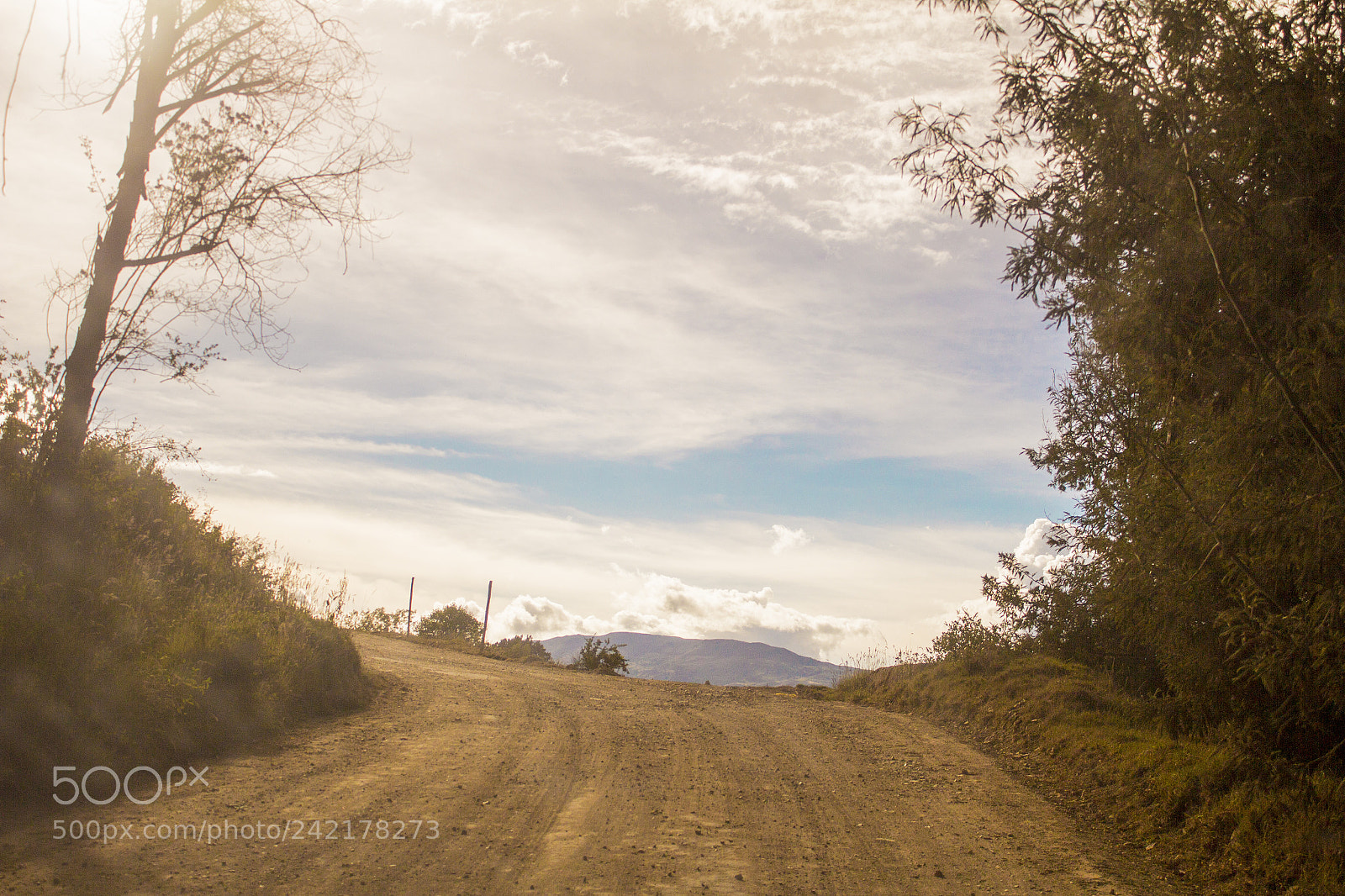 Canon EOS 600D (Rebel EOS T3i / EOS Kiss X5) sample photo. Travesia road photography