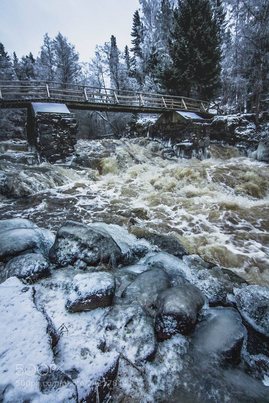 Canon EOS 60D sample photo. Flooding rapids photography