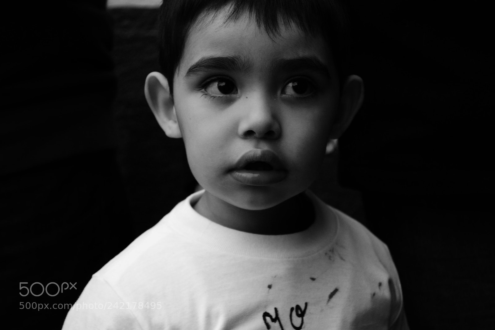 Nikon D3100 sample photo. Untitled photography