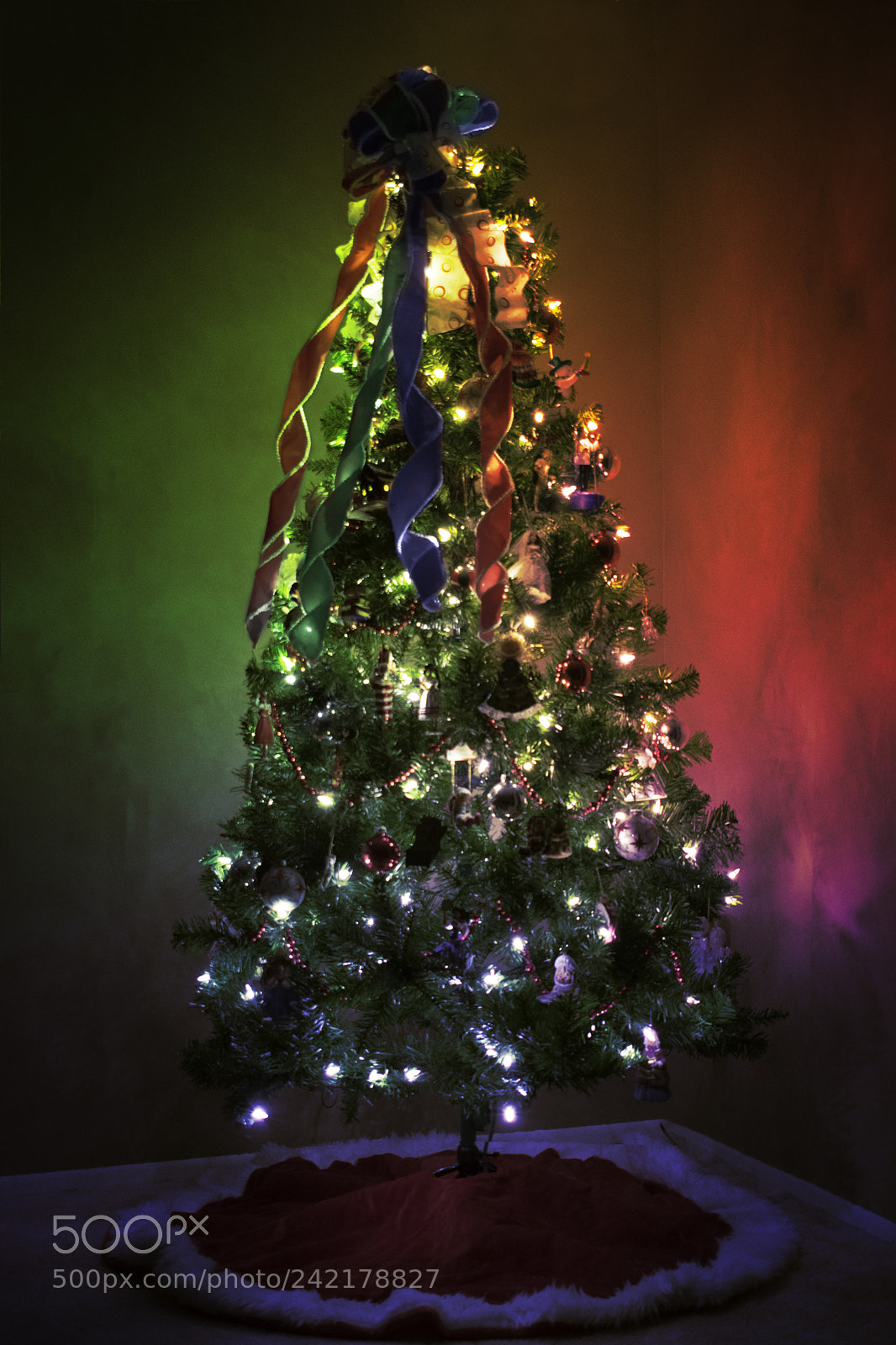 Nikon D3400 sample photo. The rgb tree photography