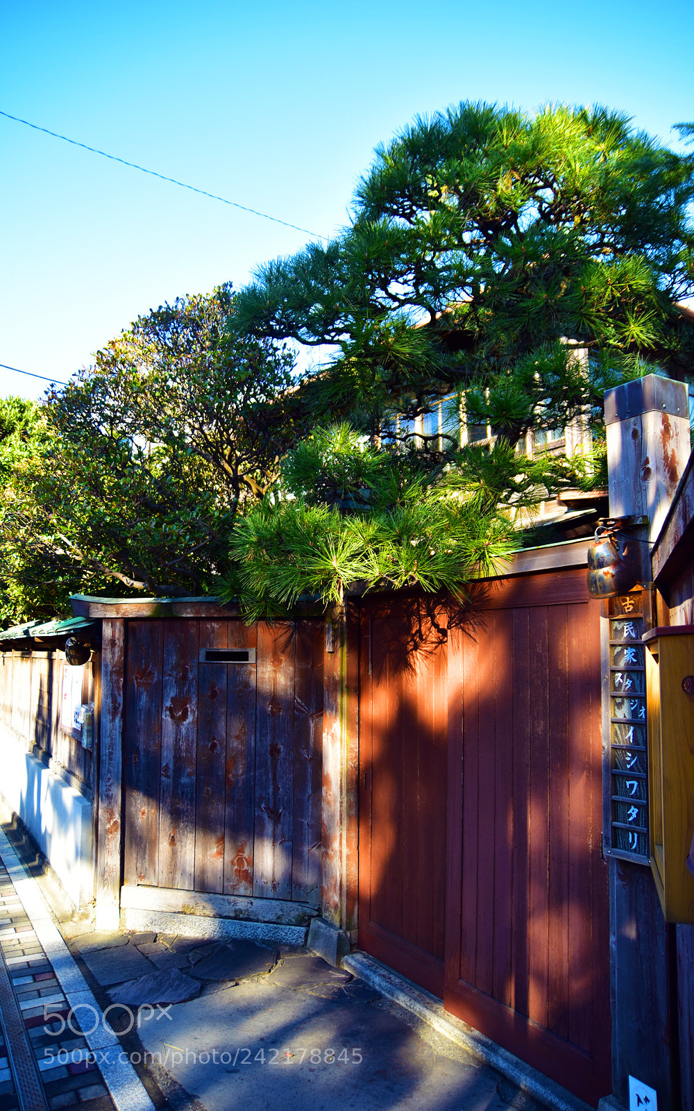 Nikon D5600 sample photo. 36.jpg photography