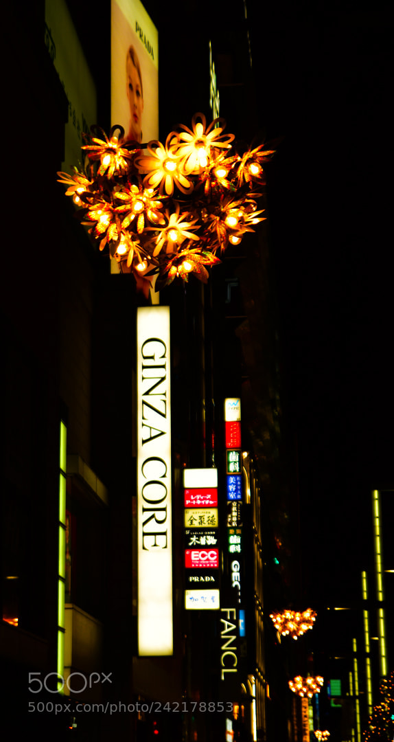 Nikon D5600 sample photo. 51.jpg photography