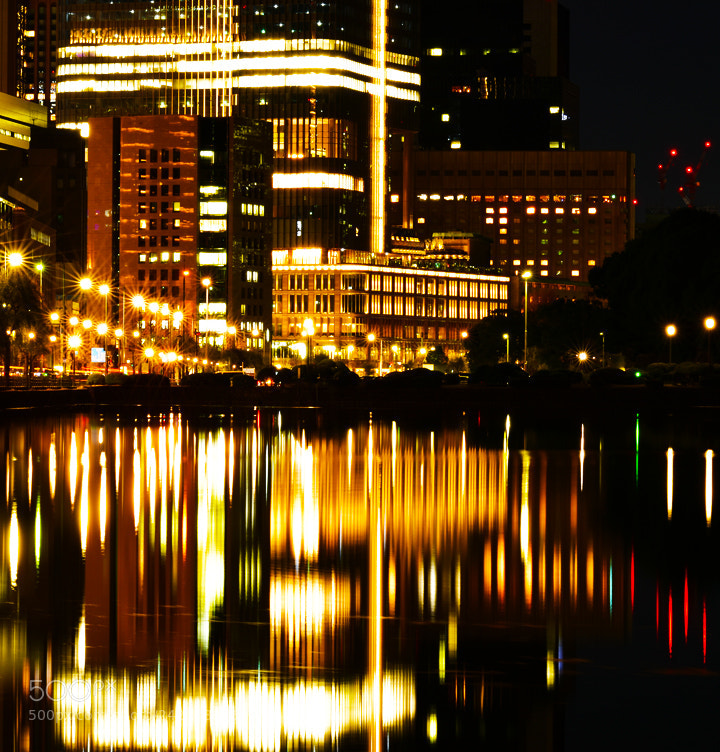 Nikon D5600 sample photo. 53.jpg photography