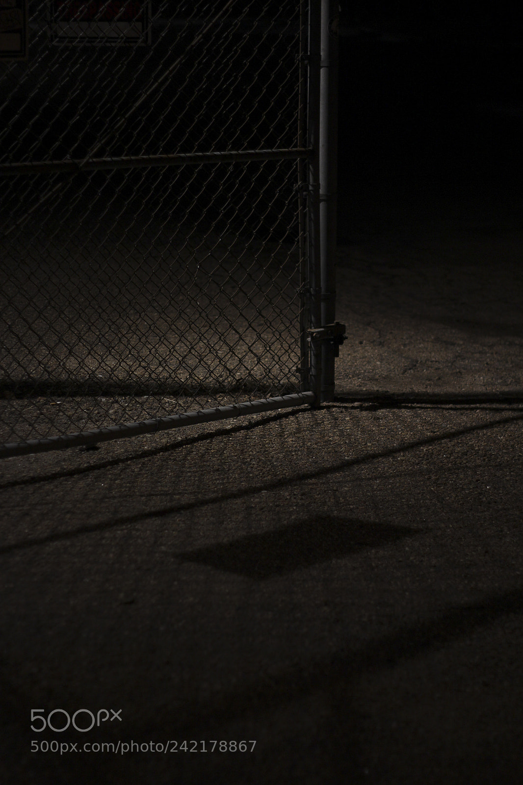 Canon EOS 60D sample photo. Curious photography