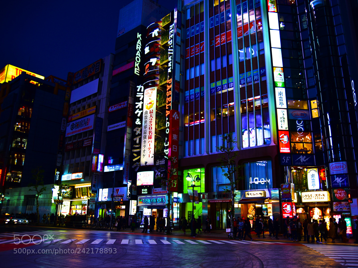 Nikon D5600 sample photo. 68.jpg photography
