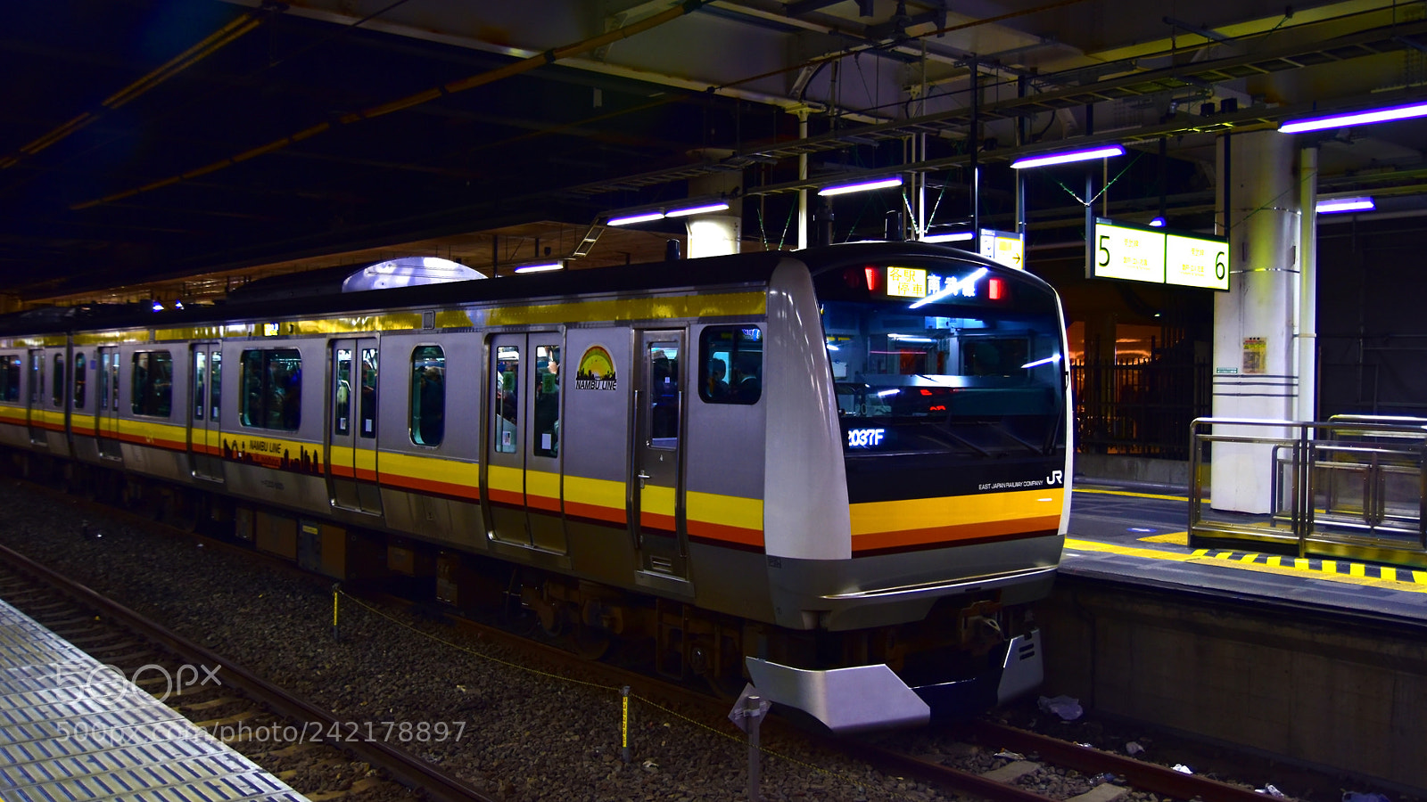 Nikon D5600 sample photo. 77.jpg photography
