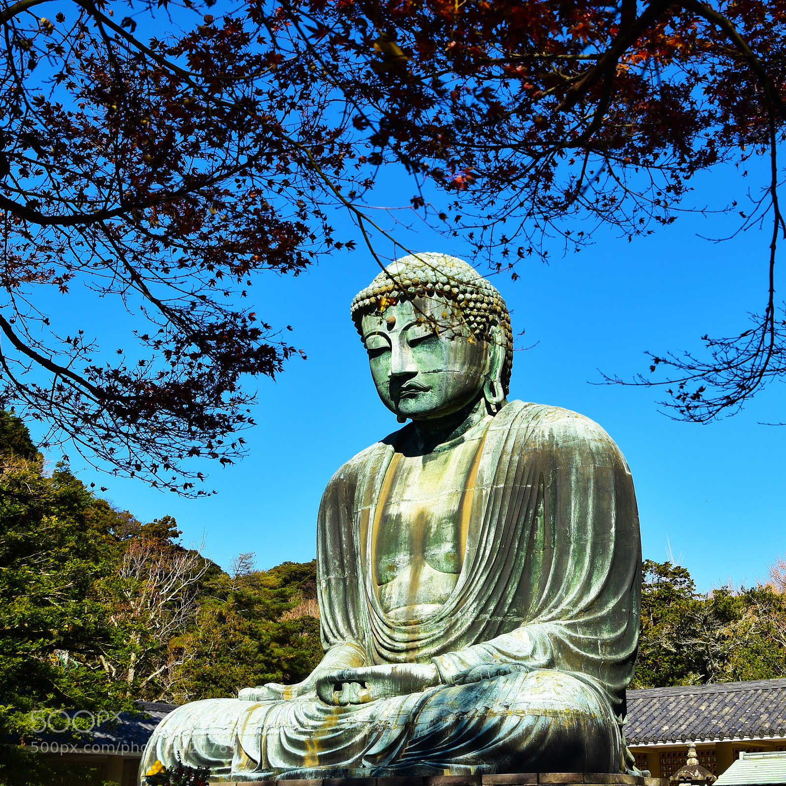 Nikon D5600 sample photo. Dsc photography